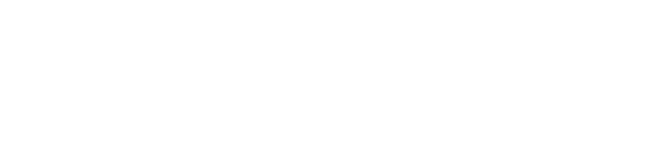 Chessence Logo